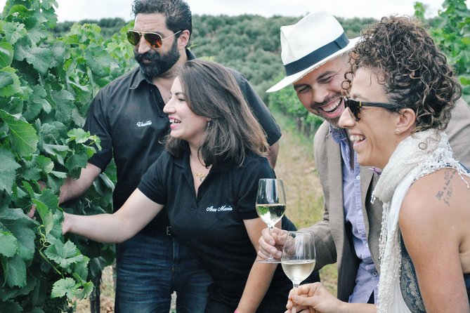 Semi-Private Wine Discovery Tour in Chania - Key highlights to look for