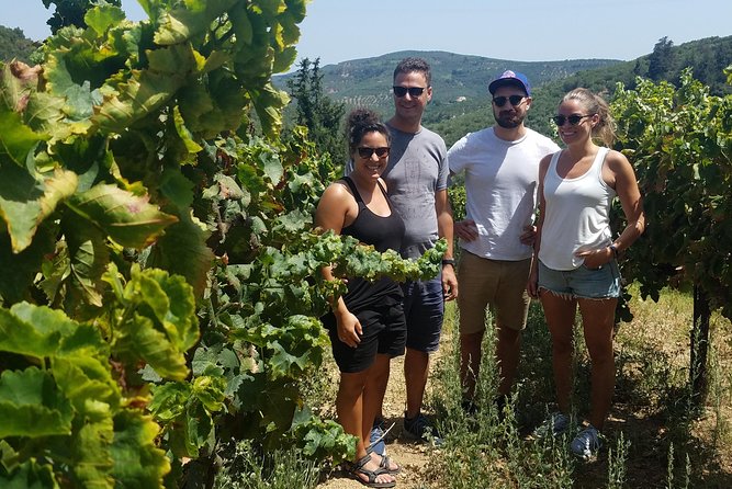 Semi-Private Wine Discovery Tour in Chania - Meeting point at Chania’s Municipal Market: start where things happen