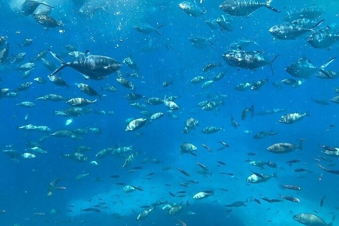Semi-Submarine Tour from Agios Nikolaos - Second Half (30 Minutes): Upper Deck Views Over Agios Nikolaos and the Coastline