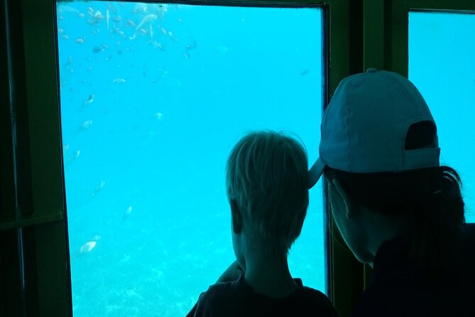 Semi-Submarine Tour from Agios Nikolaos - Price and Value: Is $18.92 Worth It in Real Life?