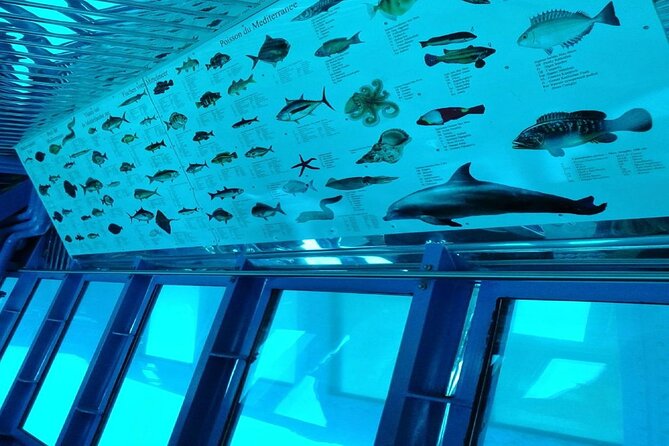 Semi-Submarine Tour from Agios Nikolaos - Who This Tour Suits Best (And Who Might Want Something Else)