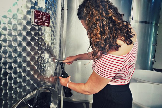 Sensory tasting with organic wines - Who should book this wine experience (and who should skip it)
