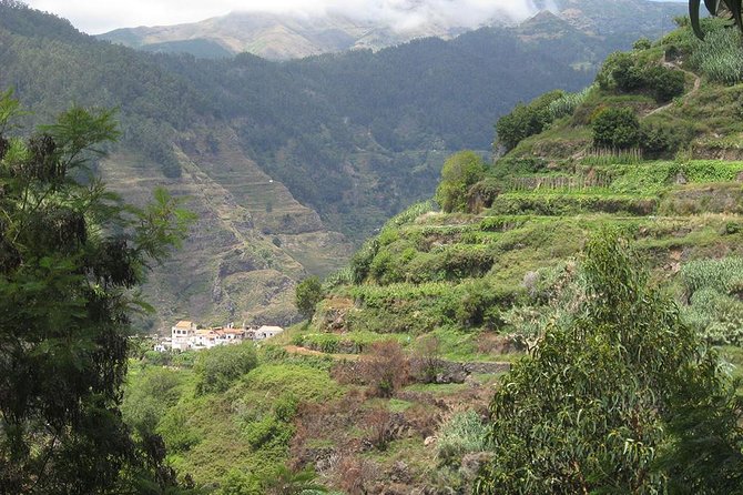 Serra D'Água Valley - Levada Walk - Stop 1 in the itinerary: what you’re really doing at Serra de Àgua