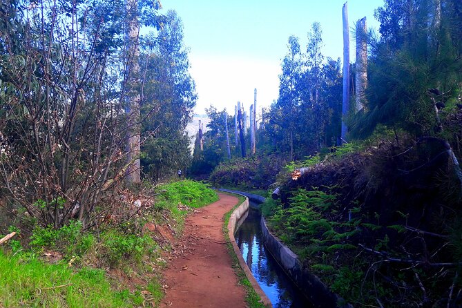 Serra D'Água Valley - Levada Walk - What you learn on the way: plants, history, and levada context