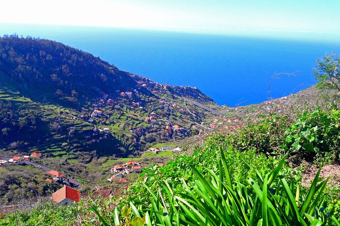 Serra D'Água Valley - Levada Walk - Price and value: why $39.65 makes sense for a guided levada walk