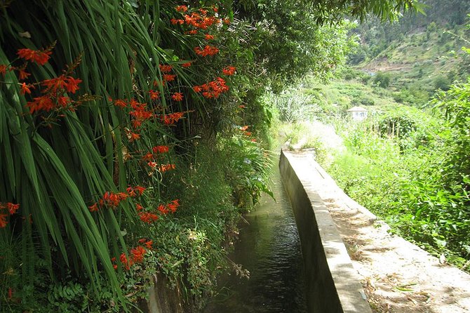 Serra D'Água Valley - Levada Walk - Comfort tips that actually matter on Madeira levadas