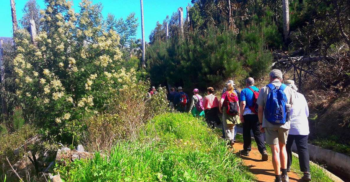 Serra de Água Valley Levada Walk - Serra de Água: The Real Reason This Walk Feels Effortless