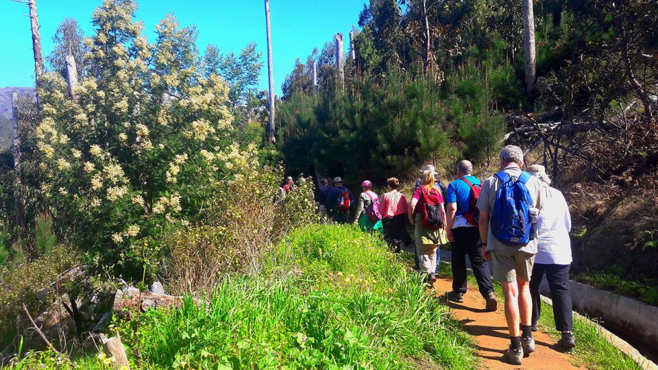 Serra de Água Valley Levada Walk - The 5km Levada Walk: What You’ll See and How It Feels