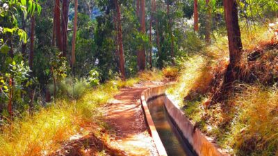 Serra de Água Valley Levada Walk - Getting There: Pickup That Makes the Day Start Smooth