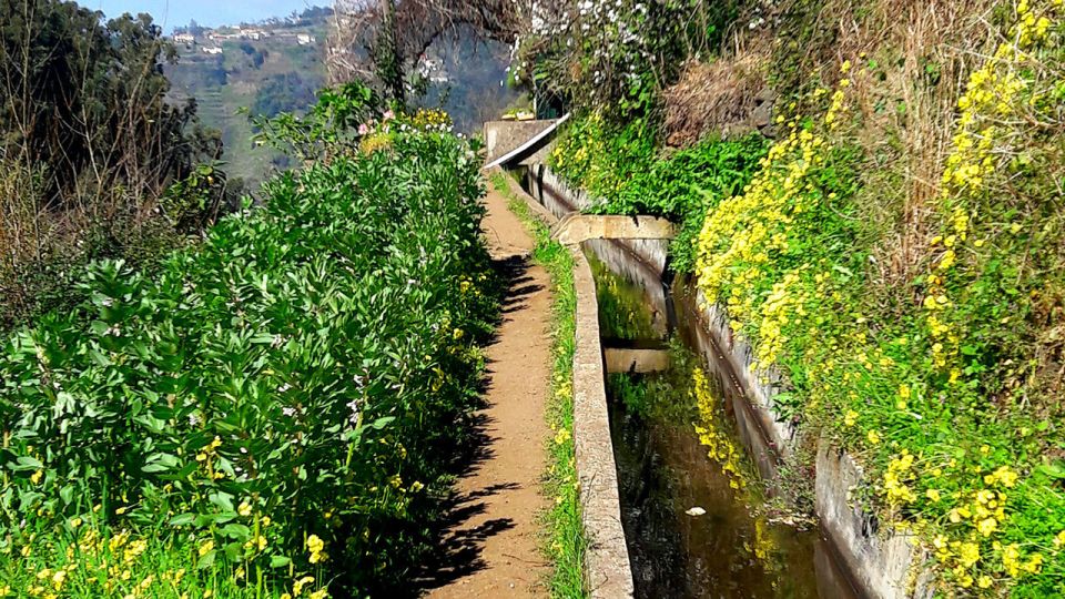 Serra de Água Valley Levada Walk - Pace and Group Rhythm: Great for Beginners, Not Always for Photo Lovers