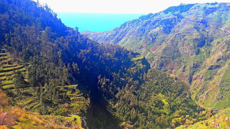 Serra de Água Valley Levada Walk - Price and Value: Is $38 a Good Deal?