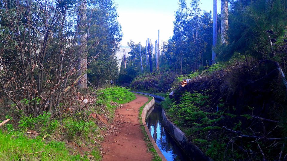 Serra de Água Valley Levada Walk - What to Bring for Madeira Weather (Yes, Even in the Middle of the Year)