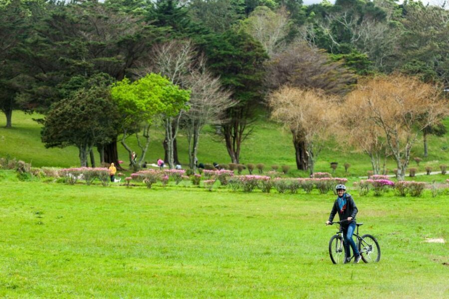 Sete Cidades: Kayaking and Biking Adventure - Should you book the Sete Cidades bike and kayak combo?