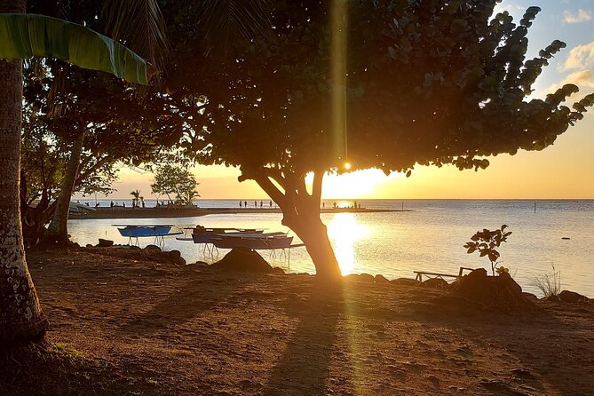 Shared 4.5h Circle Island Tour of Tahiti Nui by Lydia - Price and value: what $115 buys in a small-group format