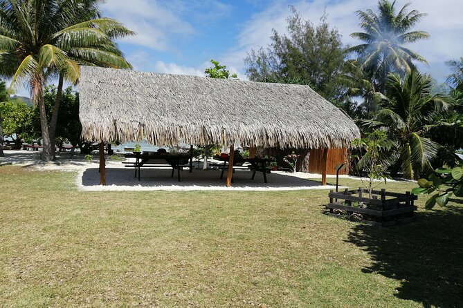 SHARED FULL DAY CULTURAL & LAGOON TOUR - Bora Bora Cultural Lagoon Tour - Polynesian Canoe Initiation: More Than a Quick Demo