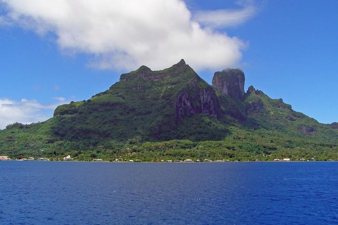 SHARED FULL DAY CULTURAL & LAGOON TOUR - Bora Bora Cultural Lagoon Tour - Fruit Trees and Medicinal Plants: Culture Through Nature