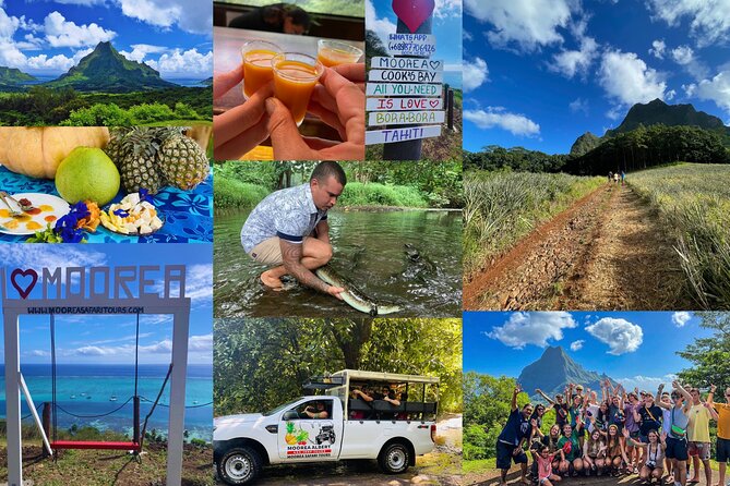 Shared Transfer: Hotel or Cruise Port to Tahiti Airport - Where this transfer fits best (and where it doesn’t)