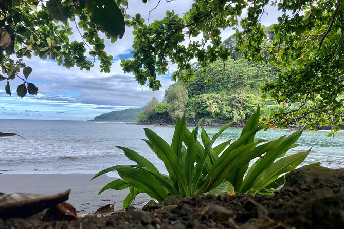 Shared Transfer: Tahiti Airport to Hotel or Cruise Port - Lodging Exceptions: Pension Mahana and Vanira Lodge Details