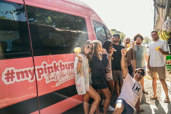 Shuttle from San Jose to La Fortuna - Finding Your Pink Shuttle Without Stress