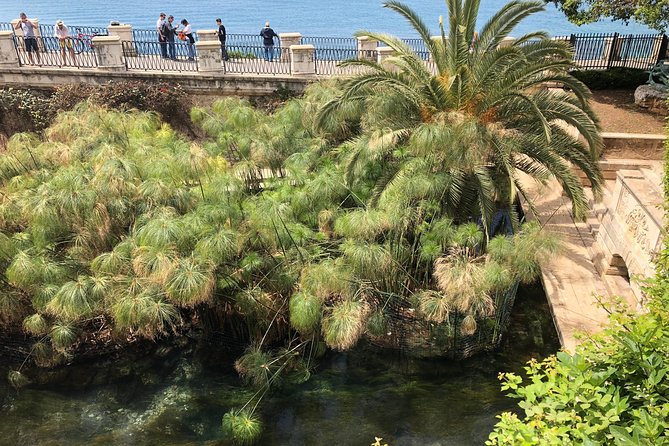 Siracusa & Noto: small group tour from Taormina - Key points worth knowing before you go