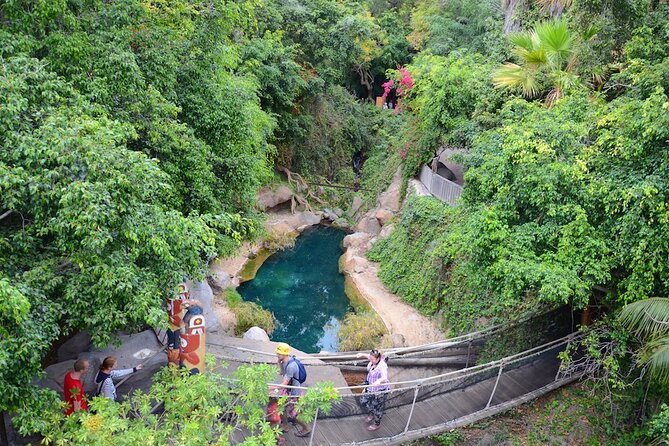 Skip the Line: Jungle Park Tenerife Entrance Ticket - Getting there and handling rain: small logistics that make a big difference