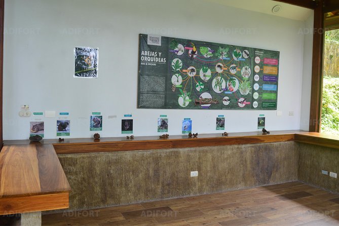 Skip-the-Line La Fortuna Waterfall Admission Ticket - At the falls: 70 meters of power and how swimming works