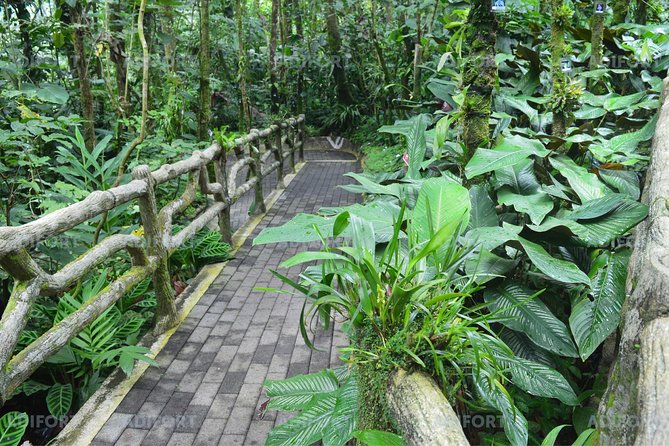Skip-the-Line La Fortuna Waterfall Admission Ticket - Who should book this ticket (and who should skip it)