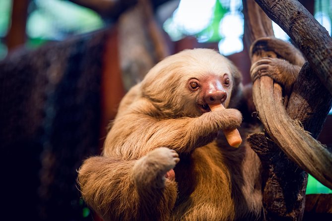 Skip the Line:Day Ticket-La Paz Waterfall Gardens Nature Park & Wildlife Refuge - Entering La Paz Waterfall Gardens on Your Own Schedule