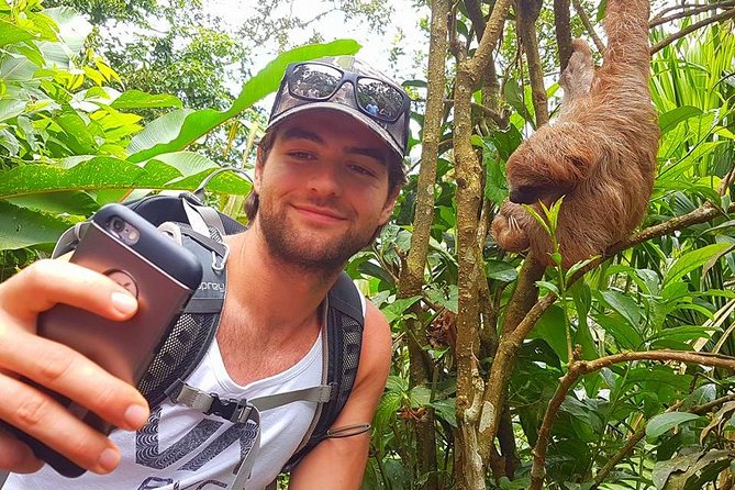 Sloth Discovery & Swim in Rio Celeste - Price and Value: Is $127.60 a Fair Deal?