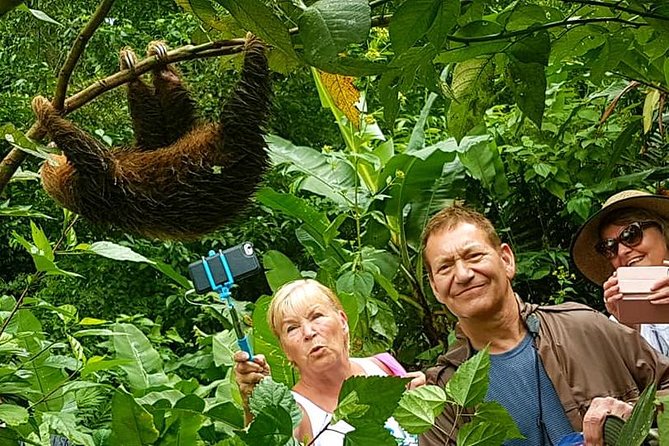 Sloth Discovery & Swim in Rio Celeste - From Playa Hermosa at 7:00 am: The Road Time You’re Signing Up For