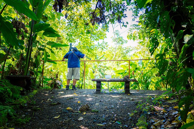 Sloth Tour in La Fortuna and Tortillas Cooking Class - Quick hits