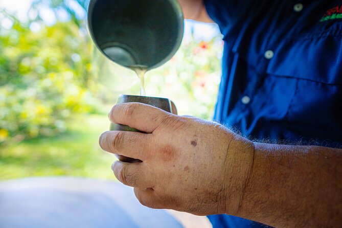 Sloth Tour in La Fortuna and Tortillas Cooking Class - Medicinal Garden + Tortilla Cooking Class