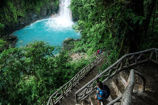 Sloths in their natural habitat & Blue river waterfall - Stop 1: Cataratas Llanos de Cortes Swim, Photos, and Cliff Jumping