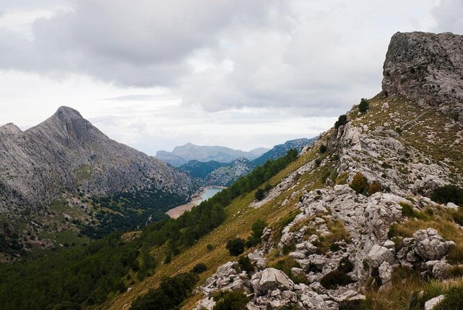 Small-Group Cliff Jumping Experience in Mallorca - Weather, Timing, and How Conditions Affect Your Day
