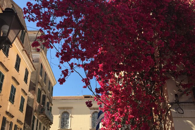 Small-group Corfu Town Historical Walking Tour - Morning vs evening timing: how to pick the right departure