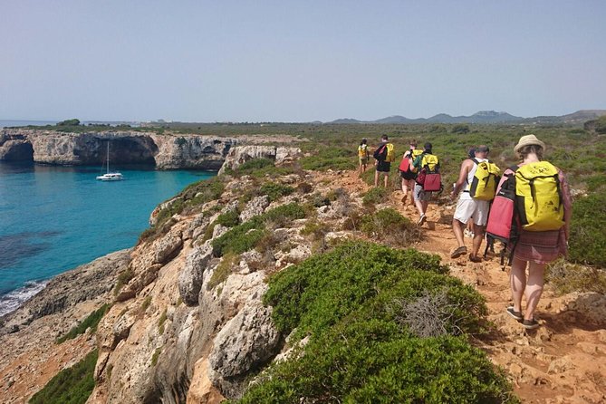 Small-Group Cova de Coloms Sea Caving Tour in Mallorca - The 4.5-hour flow: from pickup and wetsuit to the crawl-and-swim route