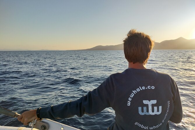 Small Group Dolphin Sunset Tour on Electric Catamaran Lanzarote - The 2.5-Hour Route: Sunset Sailing Past Playa Quemada and Femés