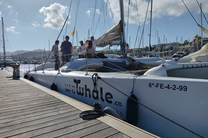 Small Group Dolphin Sunset Tour on Electric Catamaran Lanzarote - What You Actually Get: OceanBeer, Wine Options, Soda, Snacks
