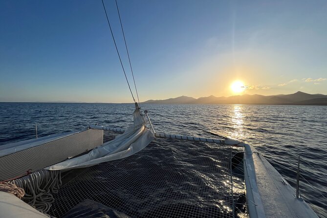 Small Group Dolphin Sunset Tour on Electric Catamaran Lanzarote - When Dolphins Show Up: How the Crew Looks and How to Read the Water