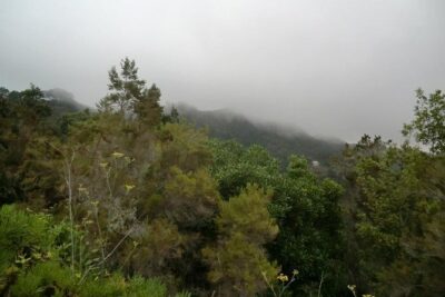 Small Group Guided Hiking in Anaga Rural Park in Tenerife - The Easy Hike Route Toward Monte de La Orilla and Camino de Solís