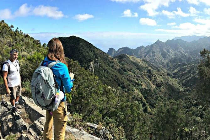 Small Group Guided Hiking in Anaga Rural Park in Tenerife - Small Group Limits and Why They Matter on a Trail