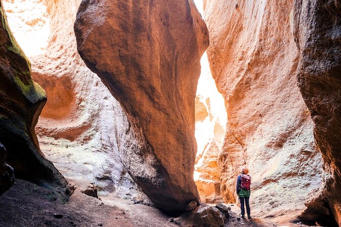 Small-Group Half-Day Canyoning in La Orotava - Key things I’d circle before you go