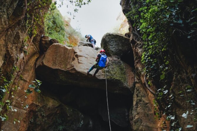 Small-Group Half-Day Canyoning in La Orotava - Getting out: another forest track and about 20 minutes hiking