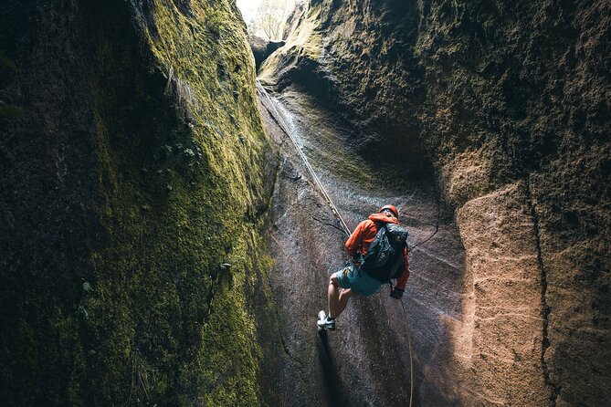 Small-Group Half-Day Canyoning in La Orotava - Safety, pacing, and how the guide keeps it controlled