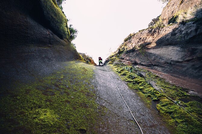 Small-Group Half-Day Canyoning in La Orotava - Meeting at Mirador de La Bermeja, then getting on the move