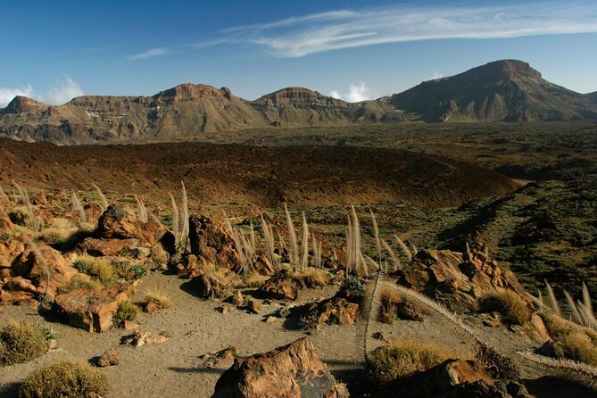 Small-Group Half-Day Tour of Teide National Park with Pickup - Quick Takeaways