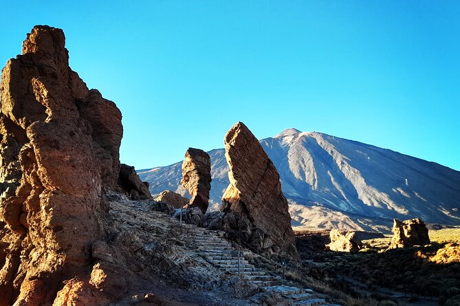 Small-Group Half-Day Tour of Teide National Park with Pickup - Price and Value Around $72: What You’re Really Paying For