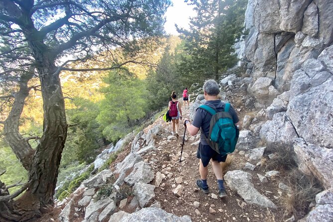Small Group Hiking on Mount Akramitis in Rhodes - Entering Limeri Cave: wartime espionage under Rhodes pines
