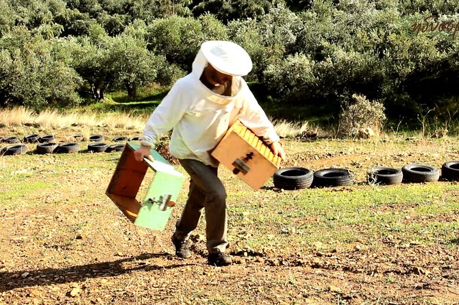 Small-Group Honey & Extra Virgin Olive Oil Tasting Tour in Crete - Key highlights I’d circle on your Cretan calendar