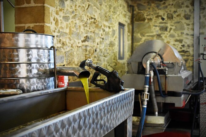 Small-Group Honey & Extra Virgin Olive Oil Tasting Tour in Crete - A 1-hour Crete tasting that fits real vacation time